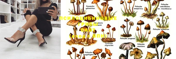 гидропоника Баксан